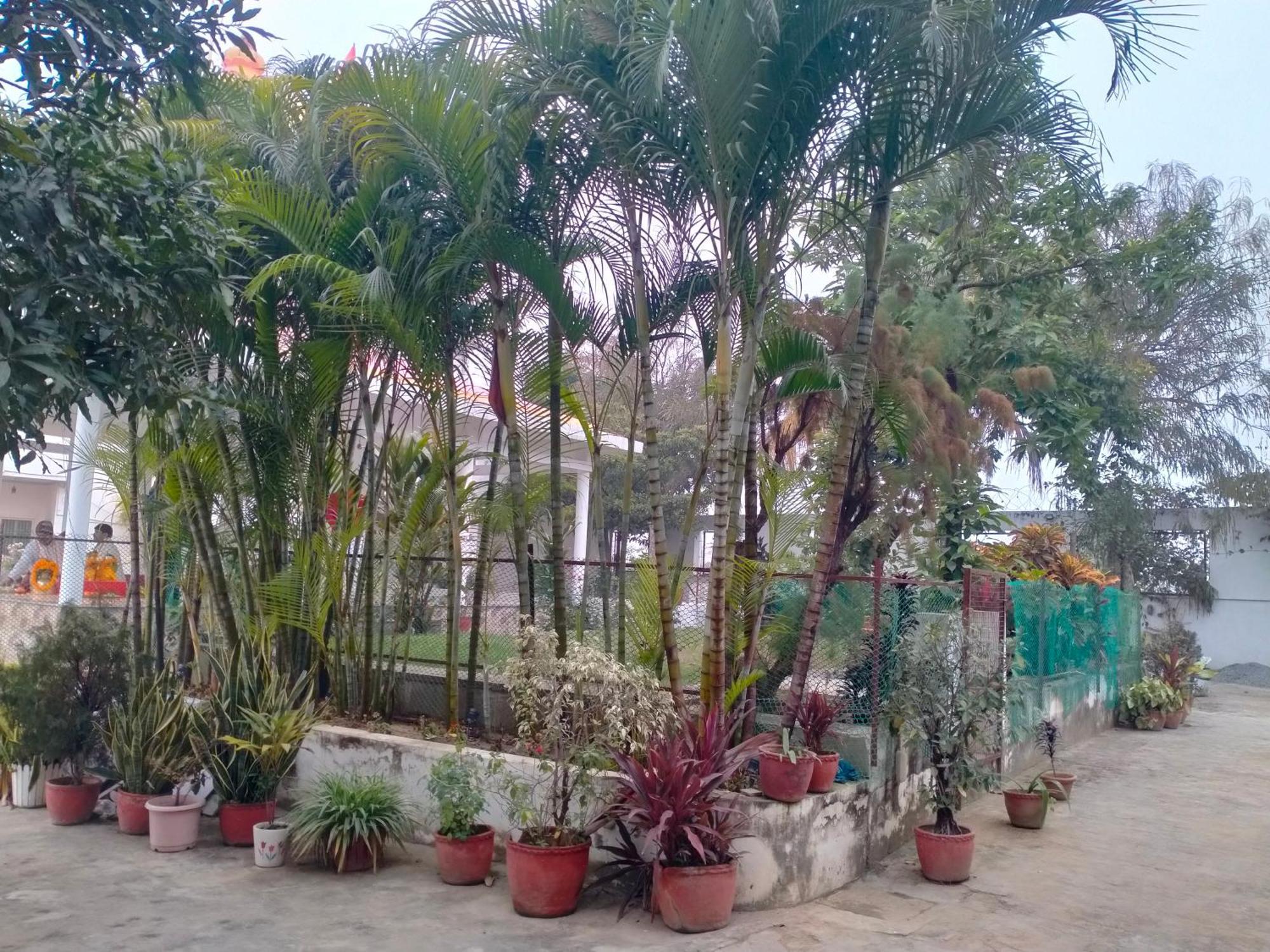 Vedic Villa Varanasi Exterior foto